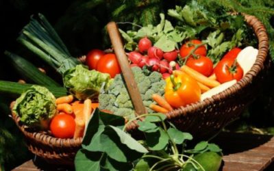 “Les superaliments”: la clef pour une alimentaion saine et equilibree